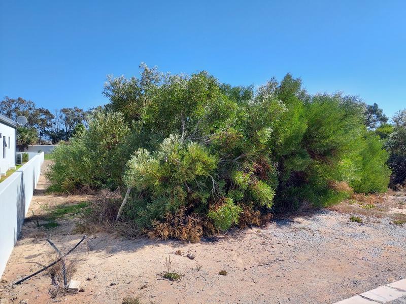0 Bedroom Property for Sale in Shelley Point Western Cape